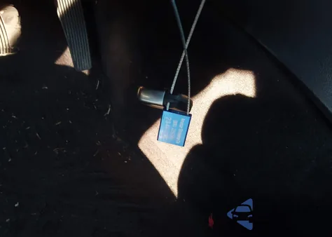 2017 Dodge Charger Sxt Awd z USA, uszkodzony, nr VIN 2C3CDXJG0HH569741